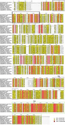 Characterization of TLR1 and expression profiling of TLR signaling pathway related genes in response to Aeromonas hydrophila challenge in hybrid yellow catfish (Pelteobagrus fulvidraco ♀ × P. vachelli ♂)